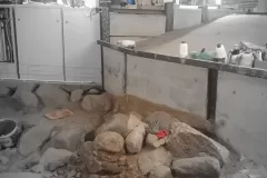 fontanna-na-placu-kolegiackim-w-poznaniu-maszynownia-16