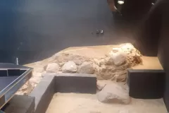 fontanna-na-placu-kolegiackim-w-poznaniu-maszynownia-6